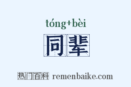 同辈是什么意思的图片
